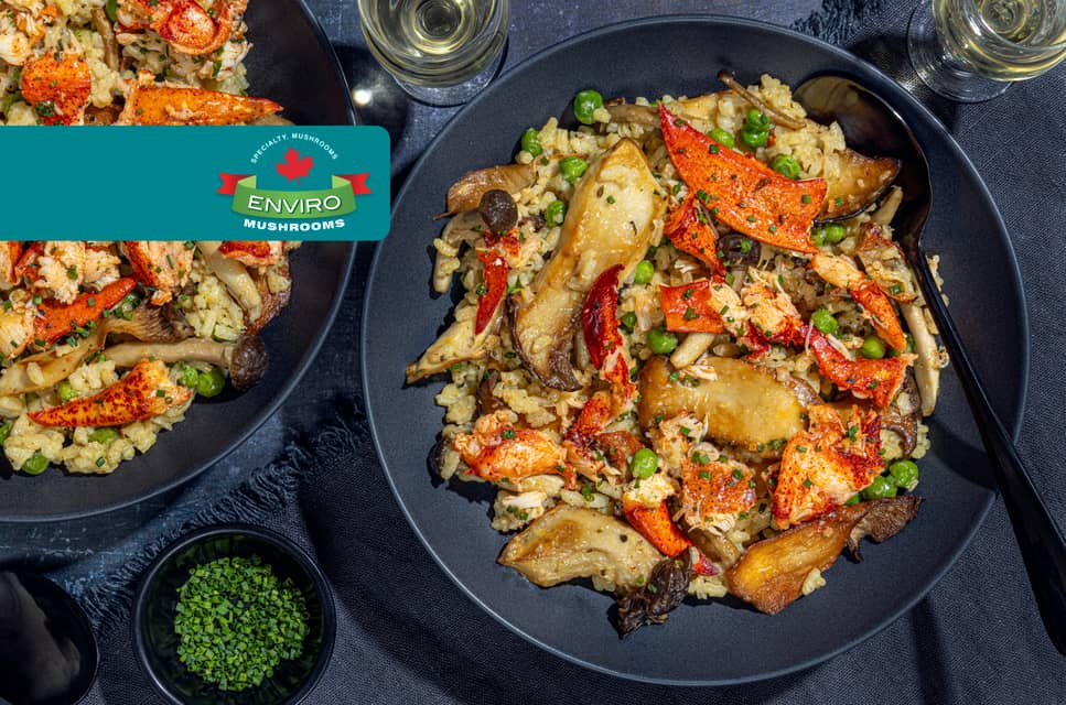 Luscious lobster risotto - Extra large standard